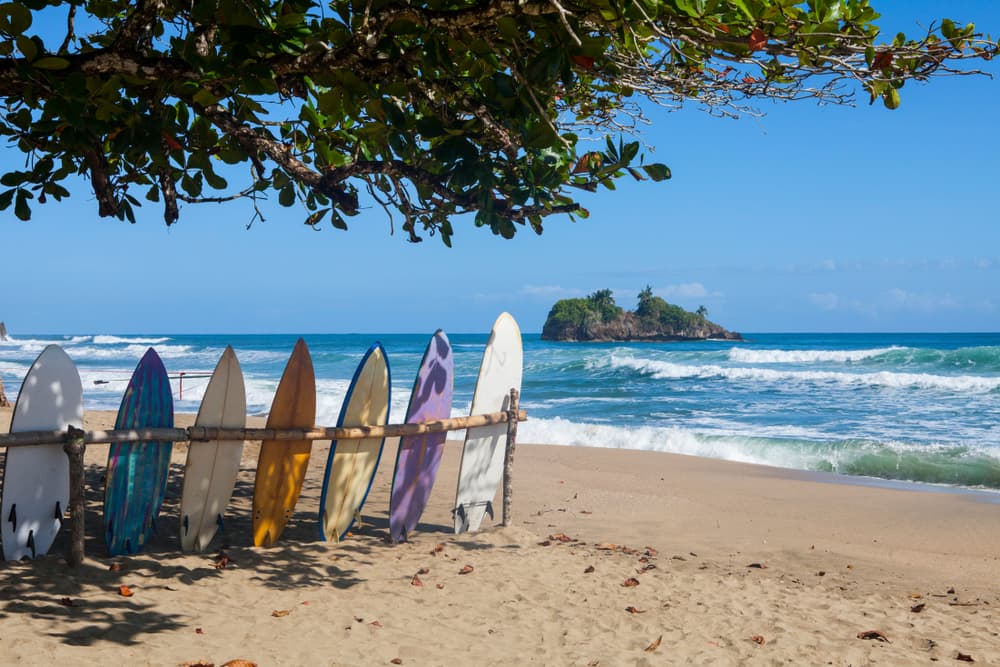 Surf au Costa Rica : quelle est la meilleure période ?